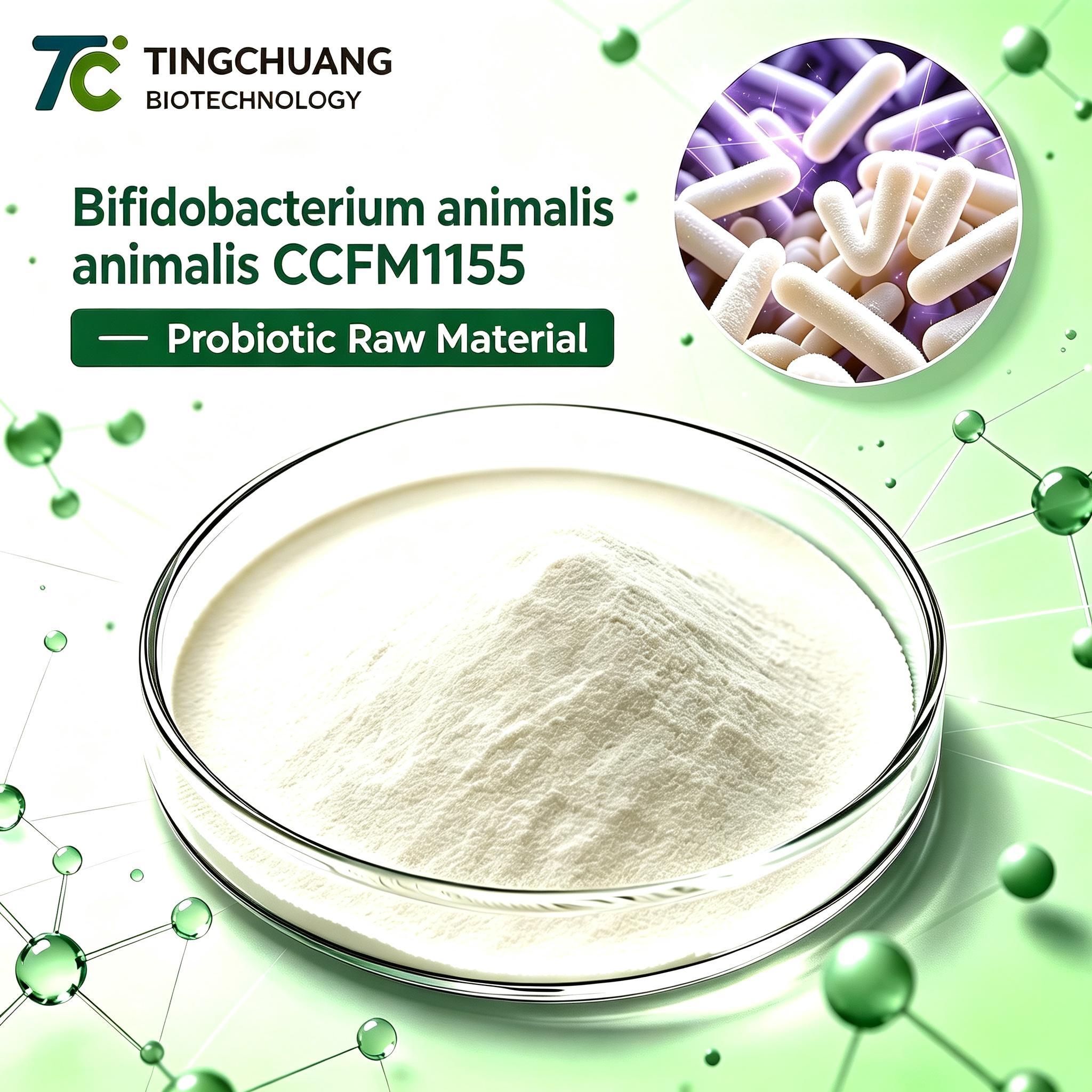 Bifidobacterium animalis CCFM1155 Probiotic Raw Material Powder for Gut Health Supplements and Functional Food Applications